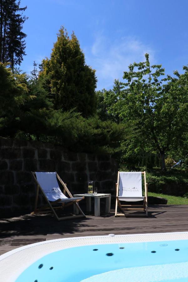 Willa Brygida Spa Kudowa Zdroj Exterior photo